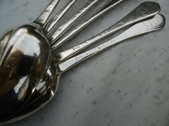 1706 very rare set of Queen Anne Dognose tablespoons by J Ladyman Stag crest 460g