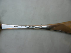 1709 rare Queen Anne dognose dessert spoon by Andrew Archer 38g