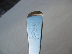 1736 Lovely George 11 Irish tablespoon by Matthew Walker 70g nice crest