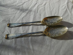 1738 beautiful pair of George 11 silver gilt tablespoons by Samuel Hutton see photos