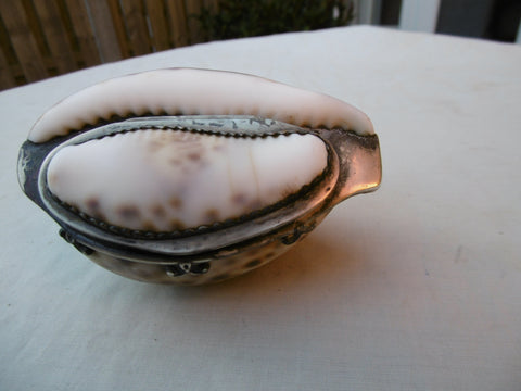 1810 pretty Scottish Georgian double Cowrie shell snuff box