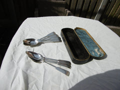 1820 fine set of 8 cased Montrose teaspoons by John Sturrock 155g