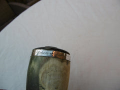 1800 very rare Scottish silver and horn Zooamorphic snuff mull of a Seals head